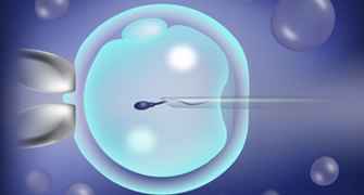 Fertilisation-ICSI