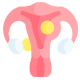 fibroids