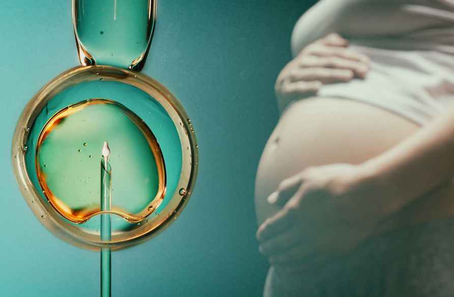 ivf-pregnancy
