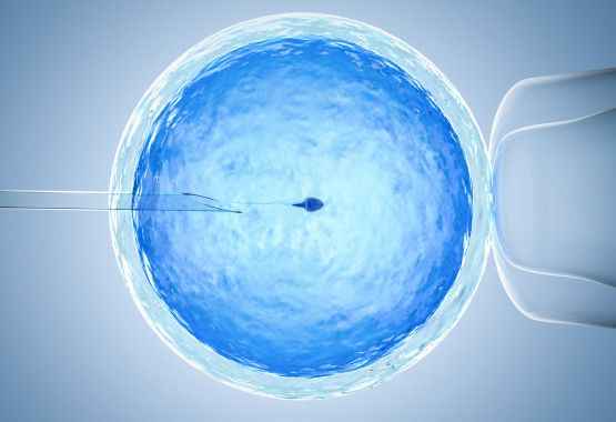 sperm-donor-eligibility
